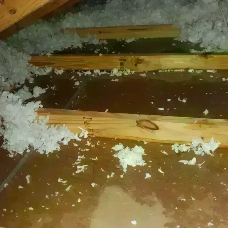 Attic Water Damage in Livermore, ME